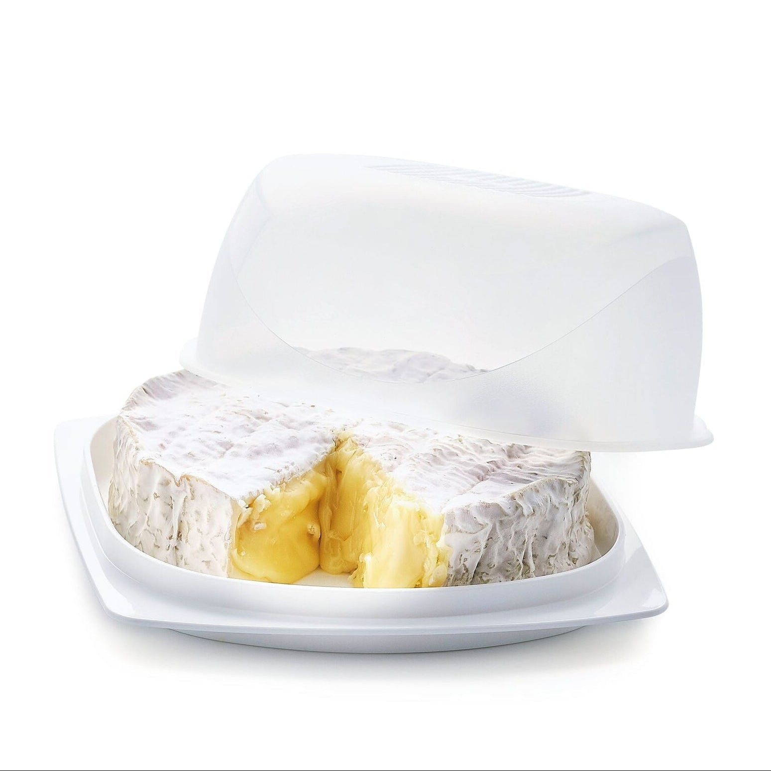 CheeSmart Small Square