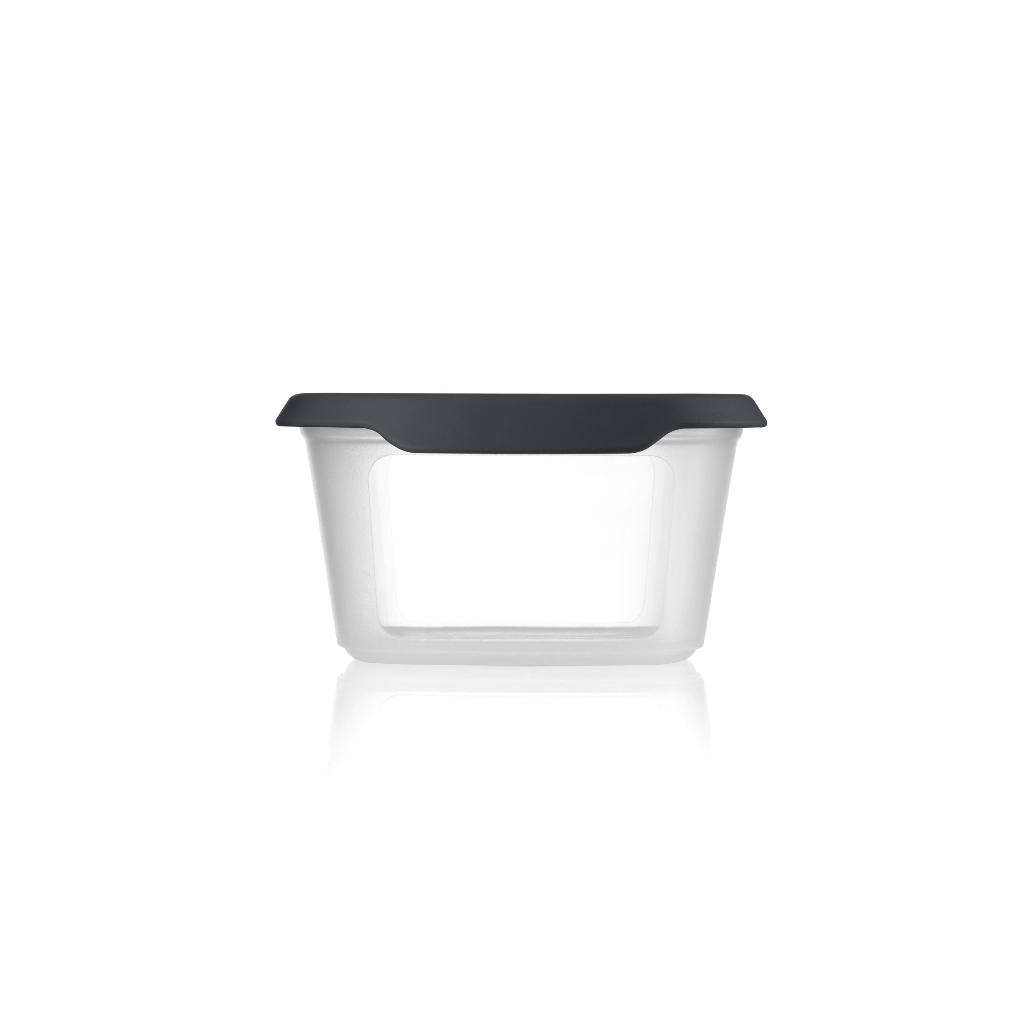 Dry Storage Oval Container 540ml