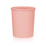 Storage Canister 4L