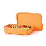 Divided Lunch Box 1L Orange