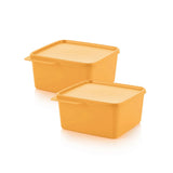 Baseline Containers  1.2L  (2PCS)