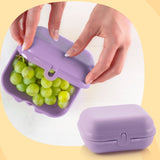 Eco+ Container Large