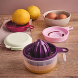 Multifunctional Juicer