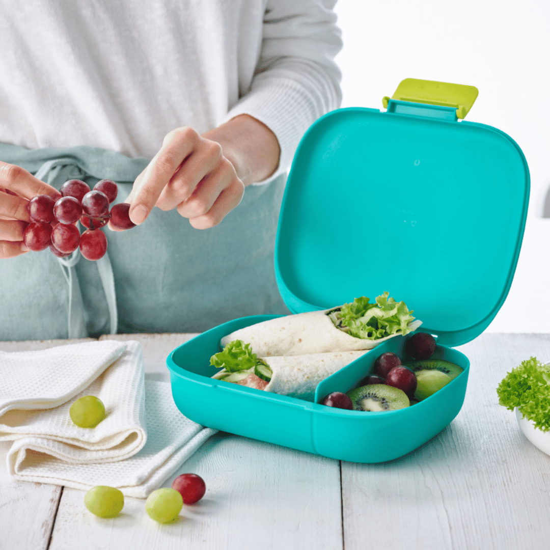 Eco+ Divided Lunch Box – Tupperware Lebanon Eco+ Divided Lunch Box – Tupperware Lebanon
